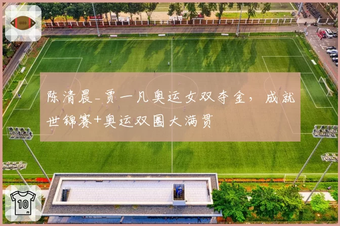 陈清晨_贾一凡奥运女双夺金,成就世锦赛+奥运双圈大满贯