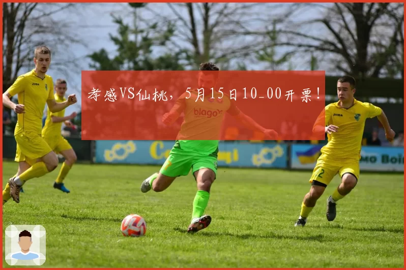 孝感VS仙桃，5月15日10_00开票！