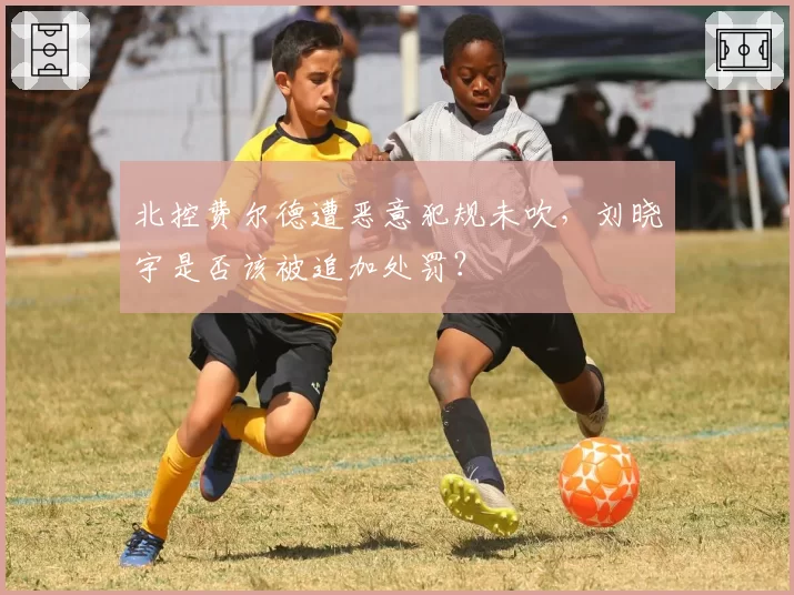 北控费尔德遭恶意犯规未吹，刘晓宇是否该被追加处罚？