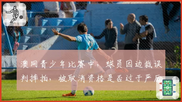 澳网青少年比赛中,球员因边裁误判摔拍,被取消资格是否过于严厉?