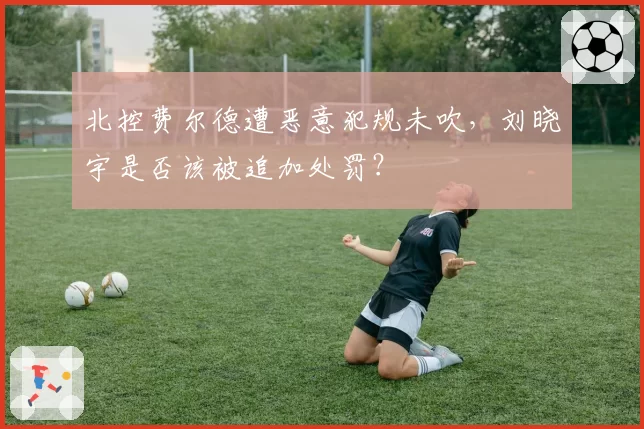 北控费尔德遭恶意犯规未吹，刘晓宇是否该被追加处罚？