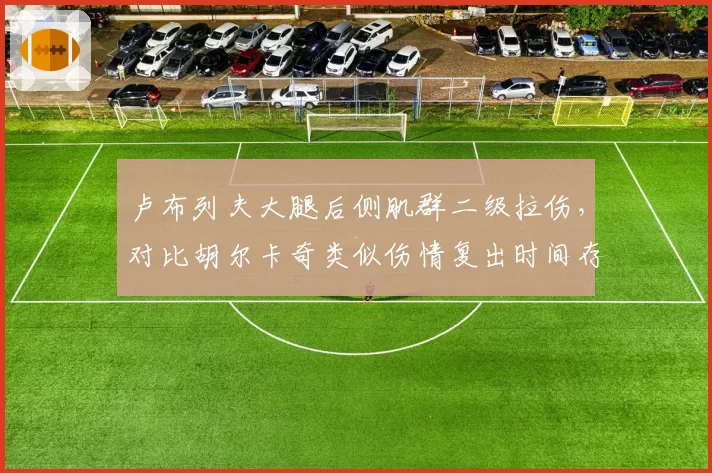 卢布列夫大腿后侧肌群二级拉伤,对比胡尔卡奇类似伤情复出时间存分歧