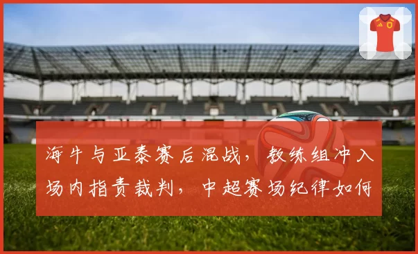 海牛与亚泰赛后混战，教练组冲入场内指责裁判，中超赛场纪律如何保障？