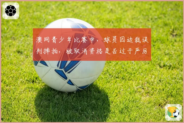 澳网青少年比赛中,球员因边裁误判摔拍,被取消资格是否过于严厉?