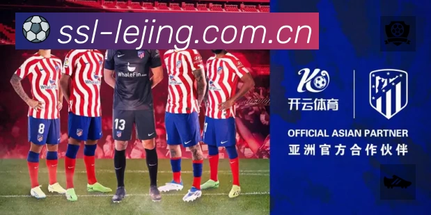 全球访问热力分布图